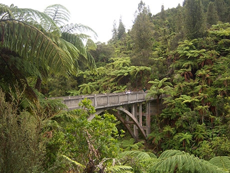 Bridge to Nowhere